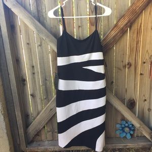 bebe dress NWT